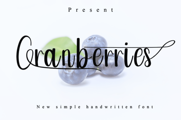 Cranberries: A Playful Handwritten Font for Editorial Design
