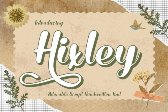 Hixley Font Review: A Charming Script for Authentic Branding