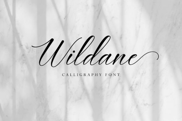 Wildane: A Flowing Handwritten Font for Modern Web Design